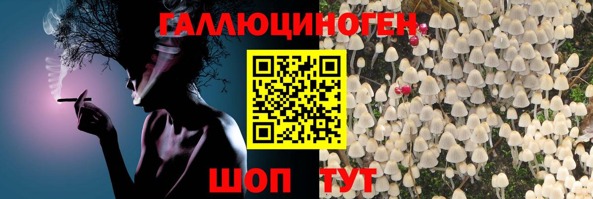 Соль-Илецк  Галлюциногенные грибы мухоморы  Галлюциногенные грибы GOLDEN TEACHER  Вход с VPN 